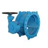VANNE PAPILLON DOUBLE EXCENTRIQUE DN 600 PN 16 Image