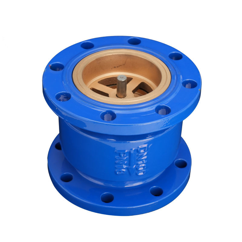 CLAPET ANTI RETOUR AXIAL (A RESSORT - SILENCIEUX) DN 65 PN 10/16 Image