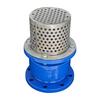 CREPINE AVEC CLAPET A BRIDE DN 80 PN 10/16 Image