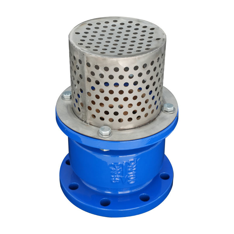CREPINE AVEC CLAPET A BRIDE DN 300 PN 16 Image